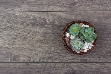 Çiçek hipster desen