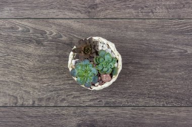 Çiçek hipster desen