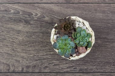 Çiçek hipster desen