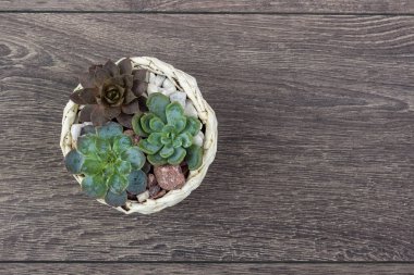 Çiçek hipster desen