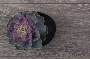 Çiçek hipster desen