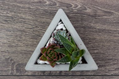 Çiçek hipster desen