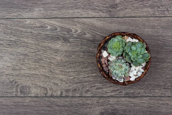 Çiçek hipster desen