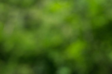 Doğal Bokeh, bulanık bokeh.