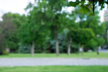 Doğal Bokeh, bulanık bokeh. bir yaz parkta yeşil yaprakları