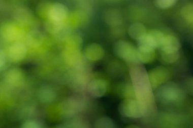 Doğal Bokeh, bulanık bokeh.