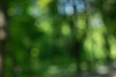 Doğal Bokeh, bulanık bokeh.