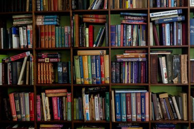 Kitap bir tahta raflarda. ahşap raflardaki eski ve yeni kitaplar