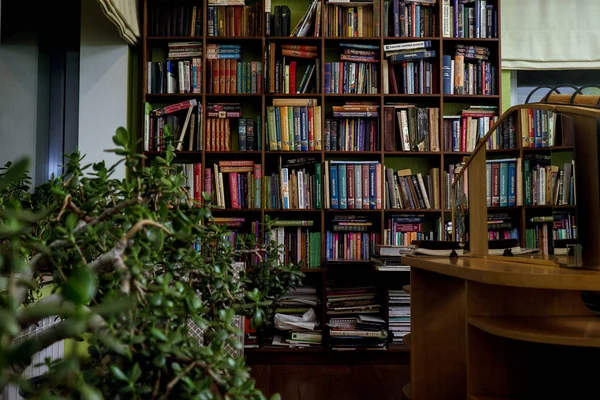 Bücher in einem Holzregal. Alte und neue Bücher in Holzregalen — Stockfoto
