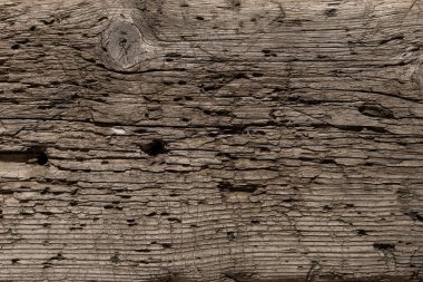 Bıçaktan derin kesikler ve balta darbeleriyle çok eski ve hırpalanmış bir ahşap arka plan. Böcekler tarafından tahrip edilmiş ağaç. Güneşin altında bir tahta, kar, yağmur ve rüzgar. Yaşlanmış ağaç