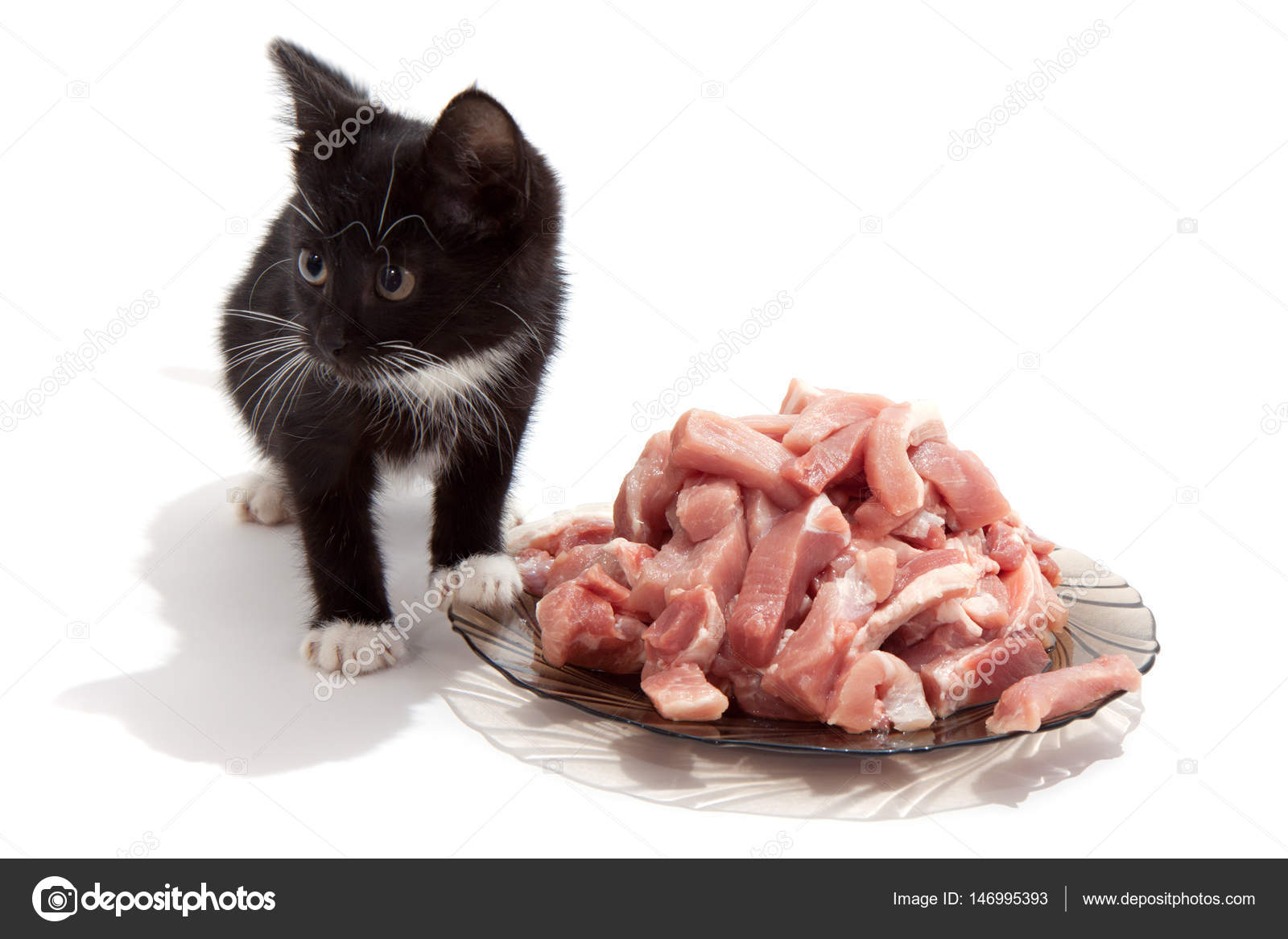 raw meat for kittens