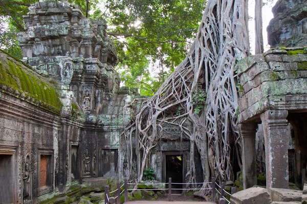 1 Ağustos 2012, Angkor Wat Tapınağı kompleksi. Kamboçya.