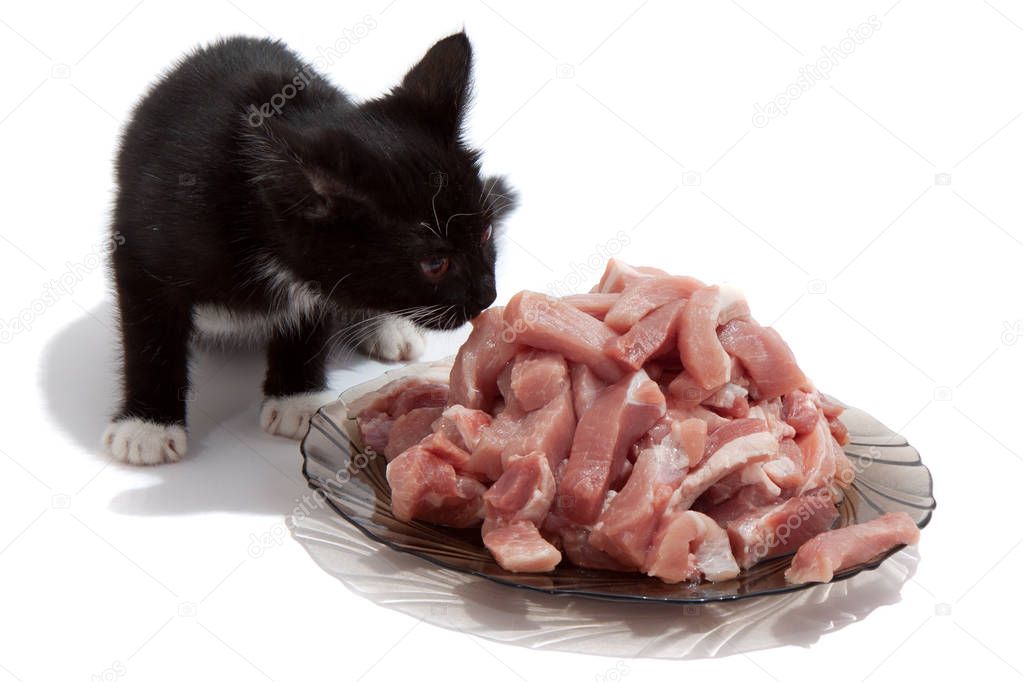 Little black and white kitten eating raw meat. The diet of cats.