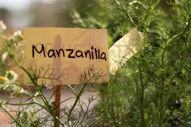 Ot işareti ile yakından