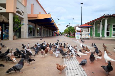 Hatıra Eşyası Cozumel