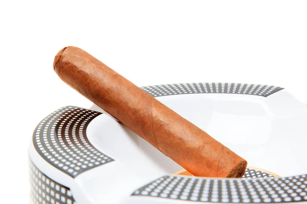 Cigarr i vit bakgrund — Stockfoto