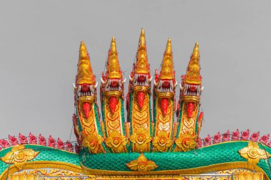 Dokuz kafaları Naga