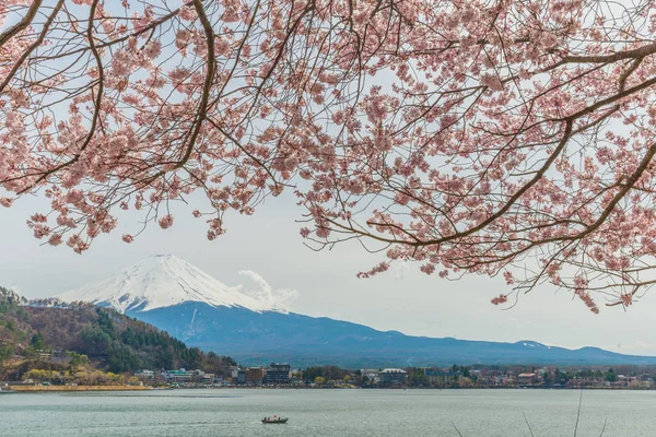 Mt. fuji with cherry blossom