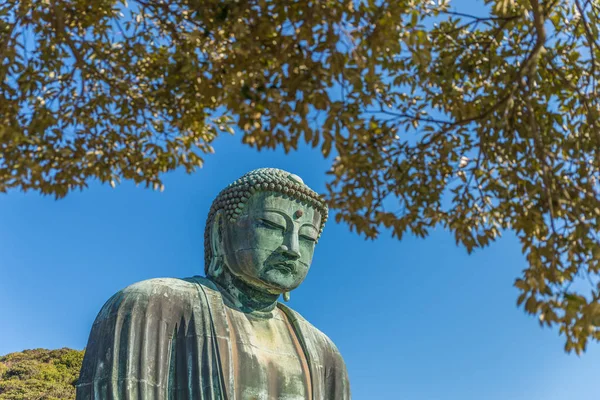 De grote Boeddha in Kamakura — Stockfoto