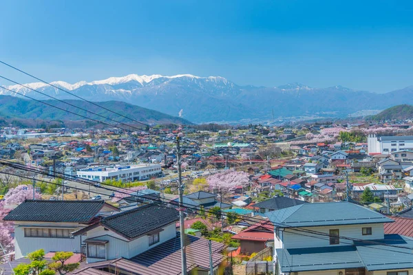 Kiraz çiçeği Takato 