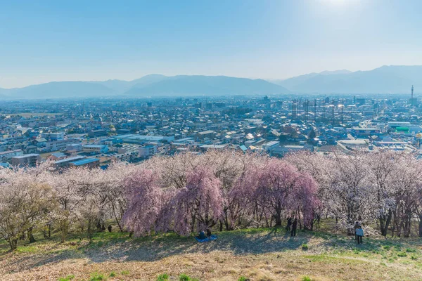 Kiraz tomurcuğunun öğretisi duvar