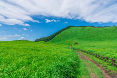 Greengrass Soni Yaylası, Nara-Ken, Japonya