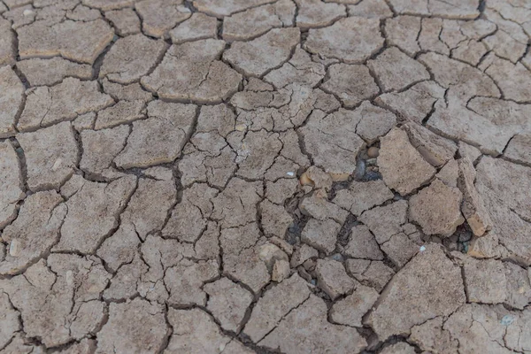 Kurak mevsimde kil zemini çatladı.