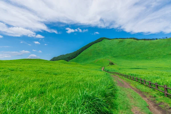 Græs på Soni plateau, Nara præfekturet, Japan - Stock-foto