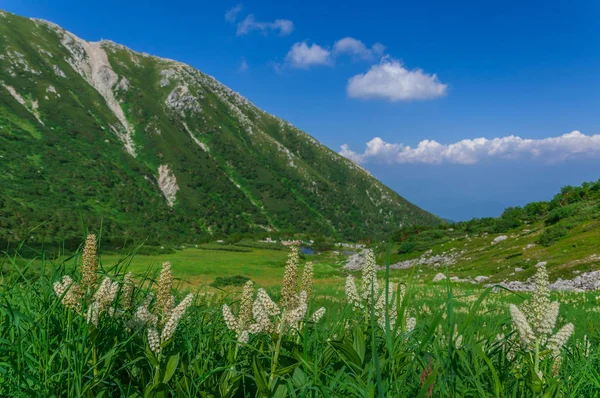 Маунт. Kiso-Komagatake, Central Alps, Nakano, Japan — стоковое фото