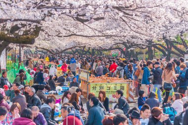 Kiraz çiçekleri Festivali Ueno Park, Tokyo, Japonya