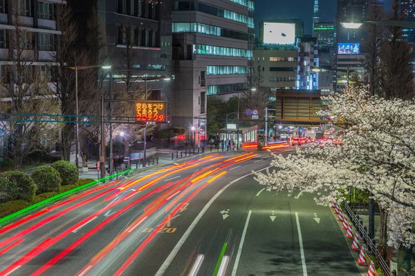 Wiśniowe kwiaty ulicy w nocy — Zdjęcie stockowe