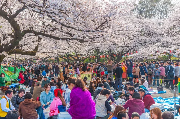 Festival de flores de cereja em Ueno Park, Tóquio, Japão — Fotografia de Stock