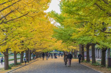 Sonbahar Showa memorial Park, Tachikawa, Japonya