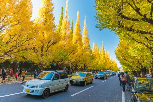 Icho Namiki Street en otoño — Foto de Stock