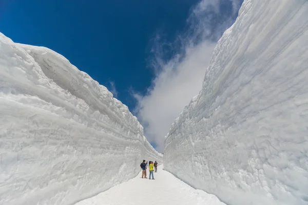 Tateyama, Japonya kar duvara