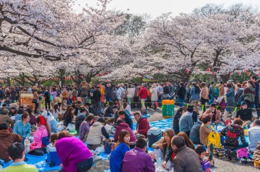 Kiraz çiçekleri Festivali Ueno Park, Tokyo, Japonya