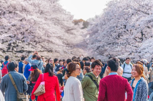 Festival Cherry Blossoms en Ueno Park, Tokio, Japón — Foto de Stock