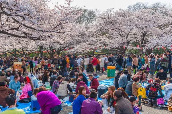 Cherry Blossoms festival in Ueno Park,Tokyo,Japan — Stock Photo, Image