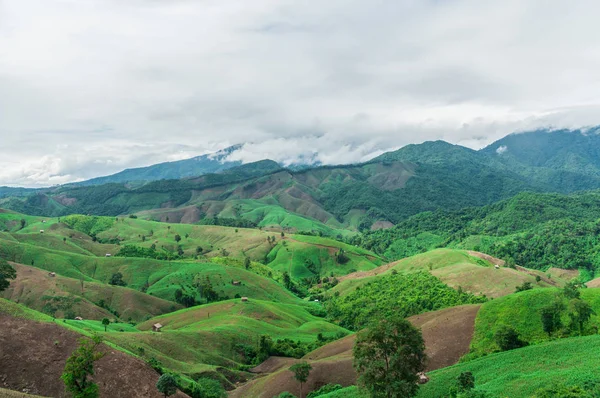 Dağ tarım Nan Eyaleti, Tayland