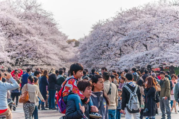 Festival Cherry Blossoms en Ueno Park, Tokio, Japón — Foto de Stock