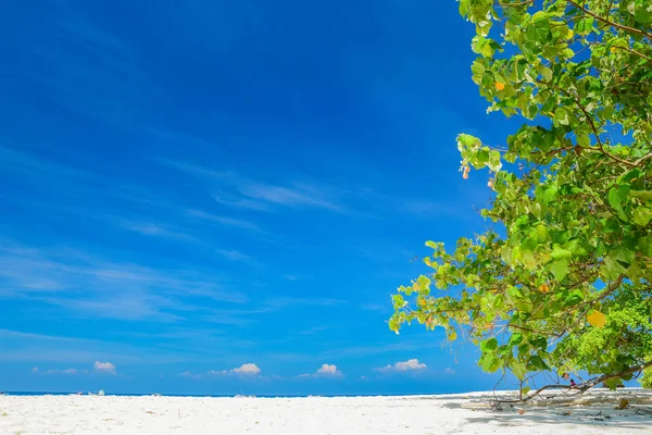 Tropikal plaj deniz kum gökyüzü ve yaz gün — Stok fotoğraf