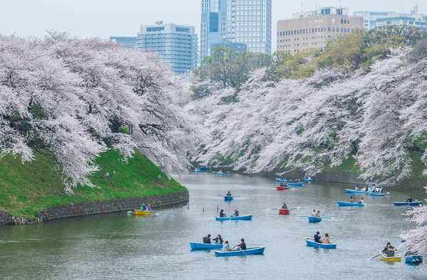 Observación de flores de cerezo en barco, Tokio, Japón — Foto de Stock