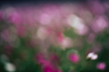 Soyut bulanık bokeh bahar arka plan