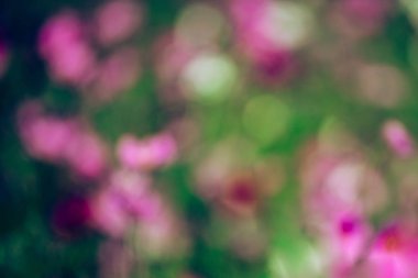 Soyut bulanık bokeh bahar arka plan