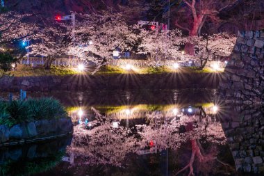 Matsumoto, Japonya gece kiraz çiçekleri
