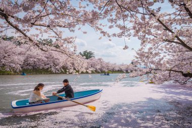 Bahar Hirosaki Kalesi, Aomori ili, j kiraz çiçekleri