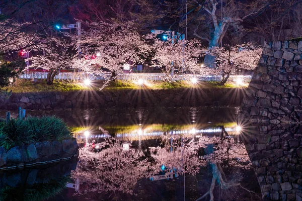 Körsbär blommar på natten i Matsumoto, Japan — Stockfoto
