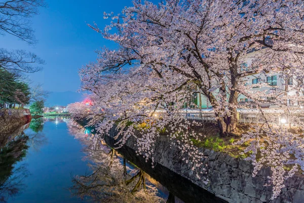 Matsumoto, Japonya gece kiraz çiçekleri