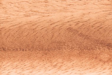 Doğal ahşap doku arka planı