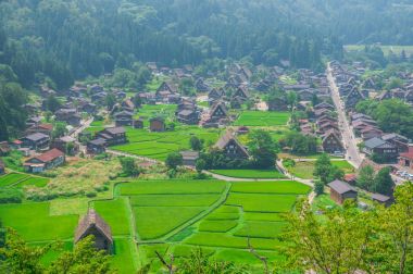 Tarihsel Japon Köyü - Shirakawago
